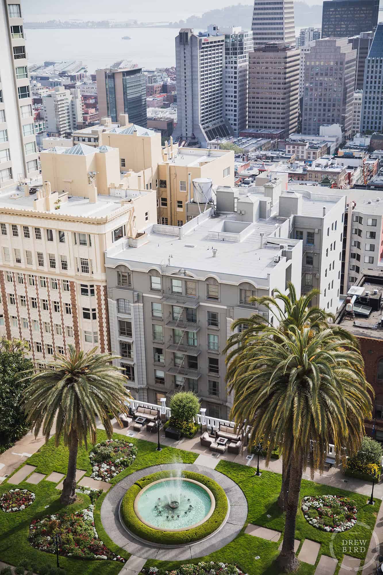 Rooftop garden and San Francisco skyline at the Fairmont Hotel. San Francisco commercial photographer and corporate photographer Drew Bird.