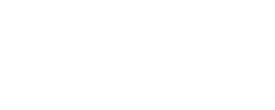 Drew Bird Photography Logo. Creative Storytelling and branding photography in San Francisco.
